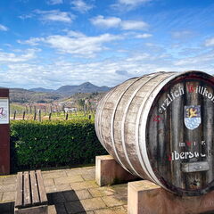 23-03-13 11-33-48 4843